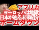 □【炎上】JICAアフリカ・ホームタウン構想で国民激怒□石破政権の独断専行は憲法違反⁉️野党は何してる□宅建士FPが徹底解説□