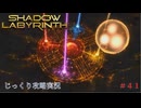 【SHADOW LABYRINTH】第41回　ゼビウス軍のセキュリティを突破しろ　じっくり攻略実況　シャドウラビリンス