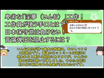 ホモと見る日本保守党支持者の淫夢解説.uyk