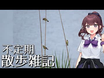 不定期散歩雑記_65 - セッカ・トライアングル・フォーメーション