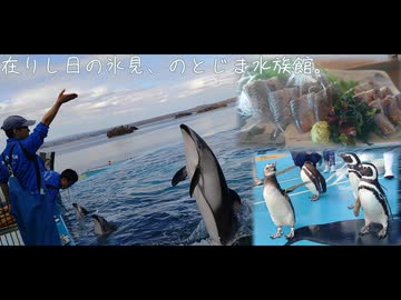 在りし日の氷見、のとじま水族館。