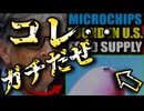 20250821_信じられるかい？これ、ガチなんだぜ。