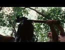 マヤの密林2006