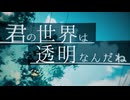 君の世界は透明なんだね【cover】