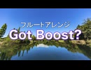 フルートアレンジ『Got Boost?』(仮面ライダーガヴ)