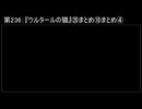 深淵ラジオ(ラジオ風備忘録)236『ウルタールの猫』⑳まとめ⑩まとめIV(老夫婦②)