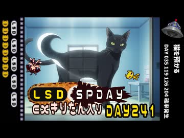 LSD SPDAY exきりたん入り DAY 241 猫を預かる