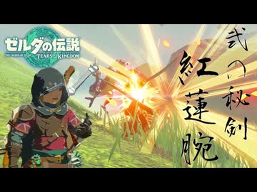 【ゼルダの伝説 ティアーズ オブ ザ キングダム】女神の剣は王国と共に泣く#12
