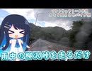 【ソフトウェアトーク車載 ぶらり気ままなバイク旅】雨中の柳沢峠を走るだけ