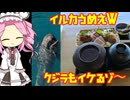 太地町行ってイルカショー見た後、イルカ肉食べてみた！【第11回ひじき祭】