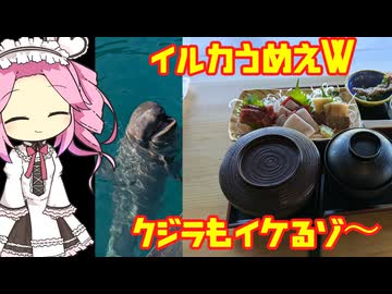 太地町行ってイルカショー見た後、イルカ肉食べてみた！【第11回ひじき祭】