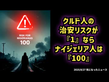 【元プロボクサー細川氏が警告】ナイジェリア人移住リスクと日本の治安悪化懸念【クルド人の治安リスクが1ならナイジェリア人は100】