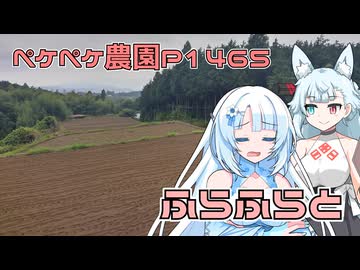 2025年8月27日　農作業日誌P1465　スターシップの生放送を十分楽しんでから、午後にちょっとだけ草刈り