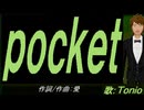 【TONIO】ｐｏｃｋｅｔ【カバー曲】