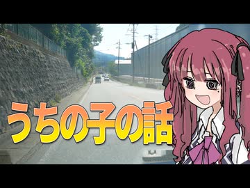 投稿歴10年超えたのでうちにいるボイロたちの話をする【雑談車載】【VOICEROID車載】