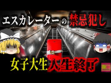 『エスカレーターでの禁忌』手を離したスーツケースが転倒し、後方の客に激突  重傷を負わせ高額賠償責任を負い人生終了【ゆっくり解説】