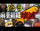 『インコの証言でマフィア崩壊』日常的に覚えさせていたある言葉がきっかけで、密売組織が壊滅 【ゆっくり解説】