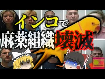『インコの証言でマフィア崩壊』日常的に覚えさせていたある言葉がきっかけで、密売組織が壊滅 【ゆっくり解説】