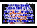 25・8・28  アフリカ移民受け入れ　インド人5万人受け入れコレの目的は『血の浄化』ウイグルでやった事です。日本国内の混乱　犯罪多発　レイ⭕️多発　性病多発　ハーフ多量生産　こうなったら日本は終わり