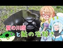 そらさんと釣りの思い出４６～夏の川原と鮎の塩焼き～