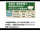 「体脂肪貯蓄率における存命日数についての考察」 〜脂肪は命の貯金？ライスパック換算で見る生存力〜