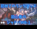 初めてのフリーマッチ【初心者のシャドウバースWB】