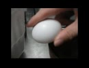 【激熱】片手で卵を割ってみた