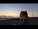 【第11回ひじき祭】百合と冬海と世界の終わりと【ソフトウェアトーク劇場・車載】