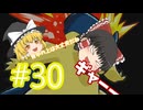 【ゆっくり実況プレイ】ポケモンレンジャー 光の軌跡 キャプチャ・スタイラーについて part30