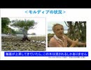 海水温と海面上昇／温暖化だけの単純な話ではない理由