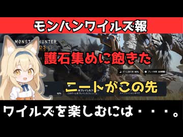 【モンハンワイルズ報】護石集めに飽きてきたニートがやるべきこととは・・・。