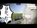 自身の位置を特定中の紡乃世、一生茶畑に幽閉されてしまう【Geoguessr】【自作立ち絵投稿祭】