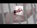 09.Brown / ユメユメうさぎ feat. 初音ミク