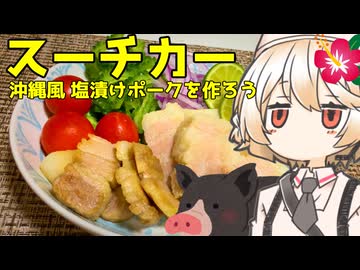 スーチカー【ナースロボ】