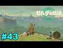 【ゆっくり実況】ティアキンぜんぶやる #43