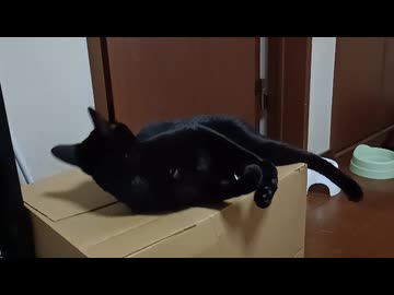 頭をこすりつけるこま
