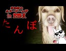 【ホラゲ】犬と散歩してたら世界がヤバい【たんぼ】～栗御飯のホラゲSP in 2025夏～