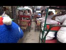 セーキ君 in インド