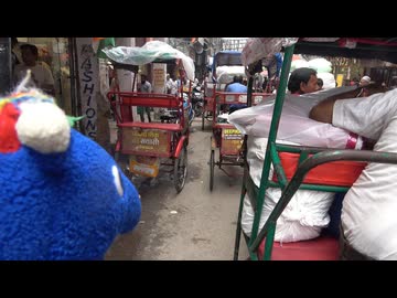 セーキ君 in インド