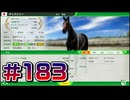 【ウイニングポスト10 2024 】こっちでめざせ！G1全制覇！ウイニングポスト10 2024 #183【実況プレイ】
