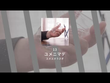 13.ユメニマデ / ユメユメうさぎ