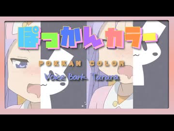 Pokkan Color（183）