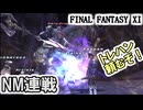 【FF11】己のトレジャーハンター力を信じて！（オーディン連戦、ギアスフェット、など）＿＿カッパのヴァナ・ディール生活