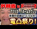 20250828_【8.28 電凸vol.②】外務省と内閣府に確認電凸！『日本政府として誤解を招かないよう訂正抗議は？』タンザニア、ガーナ、モザンビーク、各4カ国の日本地方都市ホームタウン化と、受け入れ問題について。