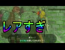 【ブレワイ】依頼を受けて、闘技場のダイ君がお金をくれる条件を調べてみた【ドリカラ】【ボイスピ実況,ゼルダの伝説,ブレスオブザワイルド,BotW,バグ,検証 】