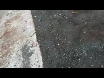 【3時】地元漁師を舐めてマナー違反し激怒される