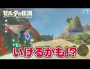 【ゼルダの伝説BotW】初めてのブレワイ！折れない心で未知の世界へ！#83【実況】