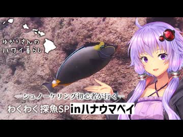 【ハワイ】カメラを買ったのでシュノーケリングinハナウマベイ【VOICEROID車載】