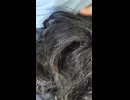 Ringの呪いのビデオを見て丁度七日目に貞子の髪の毛が股間に現れて呪い殺されたニート・ひきこもり
