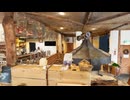 【VRChatワールド紹介】ペンションしれとこくらぶ - Pension Shiretoko Club
